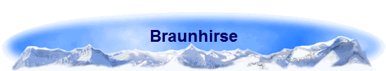 Braunhirse